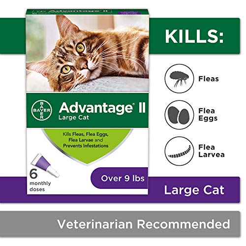 Bayer Advantage II Flea Prevention for Large Cats