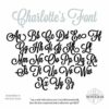 Custom Personalized Wooden Name Sign 12-55" WIDE - CHARLOTTE Font Letters Baby Name Plaque PAINTED nursery name nursery decor wooden wall art, above a crib image