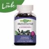 Nature's Way Sambucus Elderberry Gummies, Herbal Supplements with Vitamin C and Zinc, Gluten Free, Vegetarian, 60 Gummies (Packaging May Vary) image