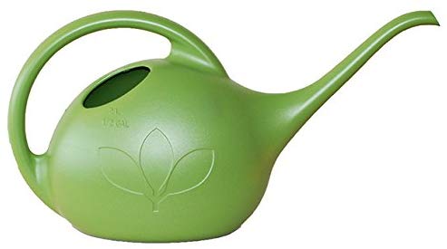 Novelty Indoor Watering Can, 1/2 Gallon, Green