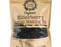 Organic Elderberry Syrup Kit