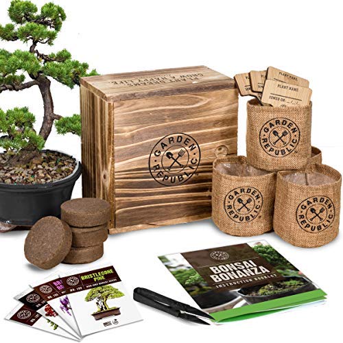 Mambolin Bonsai Tree Seed Starter Kit - Mini Bonsai Plant Growing Kit, 4 Types of Seeds, Potting Soil, Pots, Pruning Shears Scissor Tool, Plant Markers, Wood Gift Box, eBook, Indoor Garden Gardening Gifts Idea