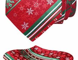 HISDERN Christmas Tie for Men