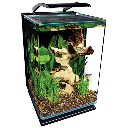 Mambolin MarineLand 5 Gallon Portrait Glass LED Aquarium Kit