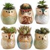 Sun-E 2.5 Inch Owl Pot Ceramic Flowing Glaze Base Serial Set Succulent Plant Pot Cactus Plant Pot Flower Pot Container Planter Bonsai Pots with A Hole Perfect Gift Idea 6 in Set image