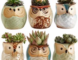 Sun-E Owl Pot Ceramic Flowing Glaze Base Serial Set