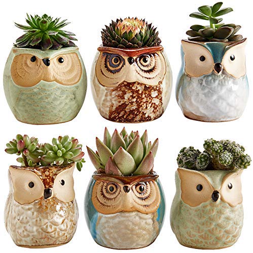 Sun-E 2.5 Inch Owl Pot Ceramic Flowing Glaze Base Serial Set Succulent Plant Pot Cactus Plant Pot Flower Pot Container Planter Bonsai Pots with A Hole Perfect Gift Idea 6 in Set image