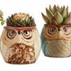 Sun-E 2.5 Inch Owl Pot Ceramic Flowing Glaze Base Serial Set Succulent Plant Pot Cactus Plant Pot Flower Pot Container Planter Bonsai Pots with A Hole Perfect Gift Idea 6 in Set image