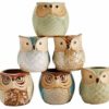 Sun-E 2.5 Inch Owl Pot Ceramic Flowing Glaze Base Serial Set Succulent Plant Pot Cactus Plant Pot Flower Pot Container Planter Bonsai Pots with A Hole Perfect Gift Idea 6 in Set image