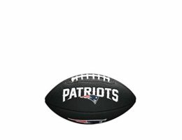 Wilson NFL Team Logo Mini Size Football